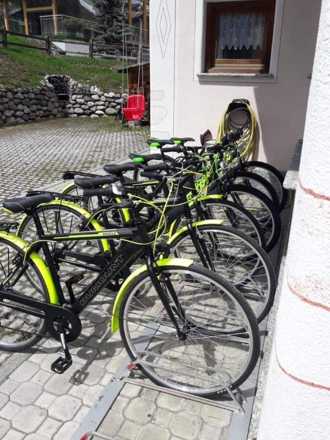 Charme Dg Stella Alpina Appartamento Livigno